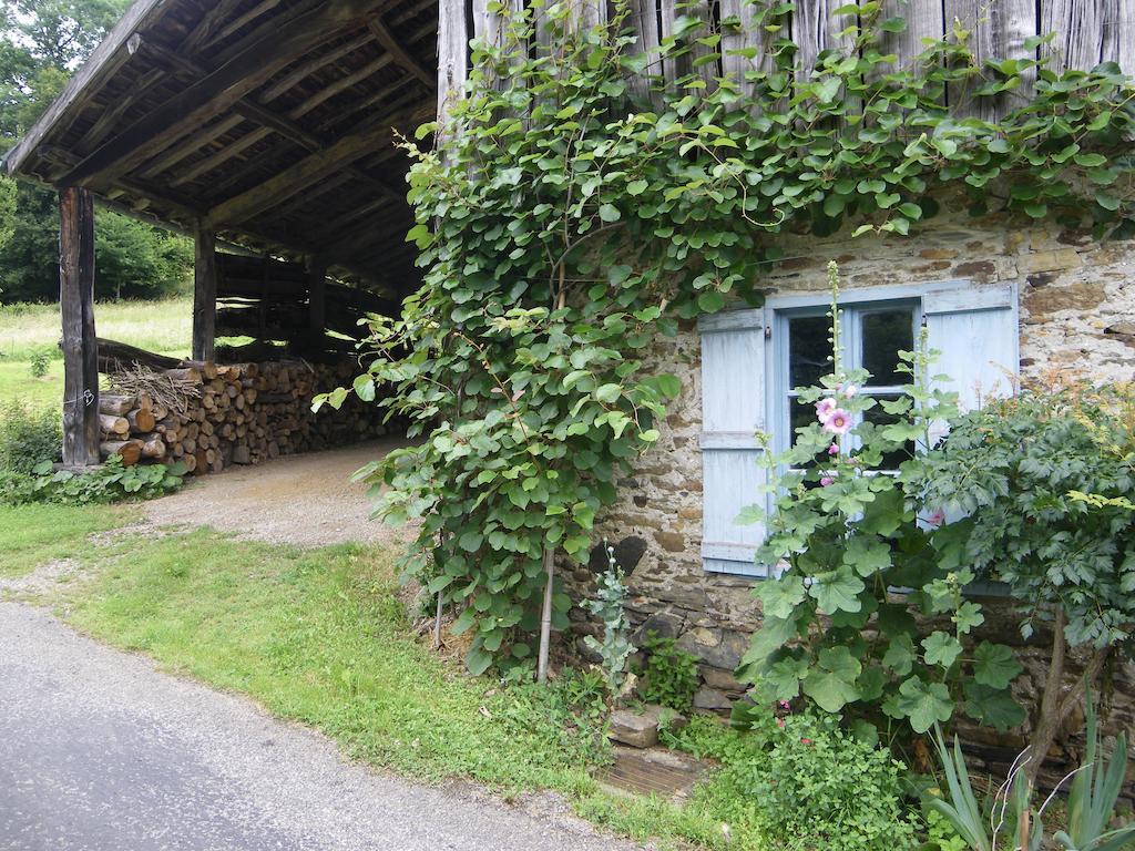 Le Balcon Commingeois Bed and Breakfast Chein-Dessus Rum bild